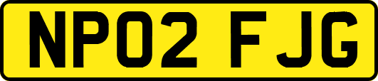 NP02FJG