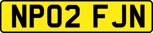 NP02FJN