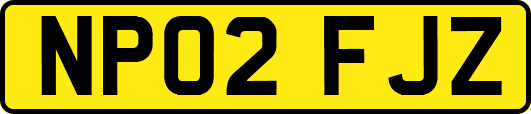NP02FJZ