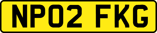 NP02FKG