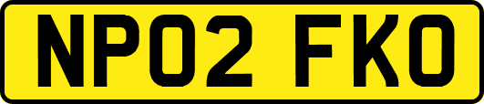 NP02FKO