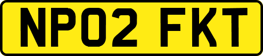 NP02FKT