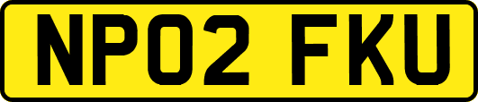 NP02FKU
