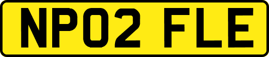 NP02FLE