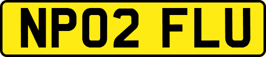 NP02FLU