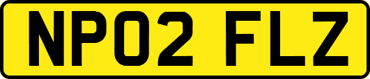 NP02FLZ