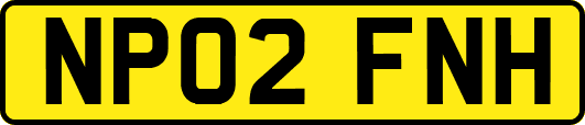 NP02FNH