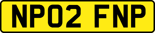 NP02FNP