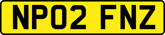 NP02FNZ