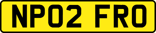 NP02FRO