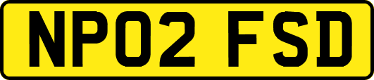 NP02FSD