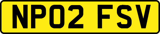 NP02FSV