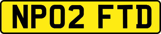 NP02FTD