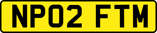 NP02FTM