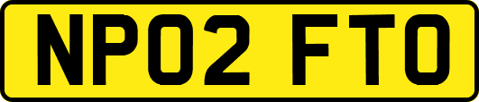 NP02FTO