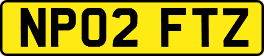 NP02FTZ