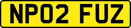 NP02FUZ