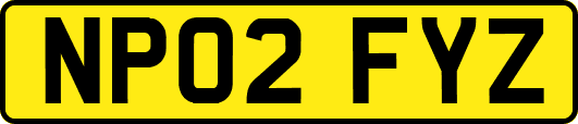 NP02FYZ