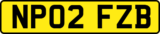 NP02FZB