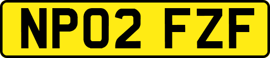 NP02FZF