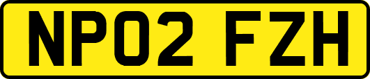 NP02FZH