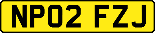 NP02FZJ