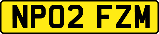 NP02FZM