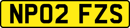 NP02FZS