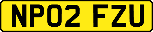 NP02FZU