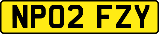 NP02FZY