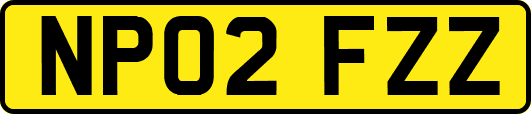 NP02FZZ