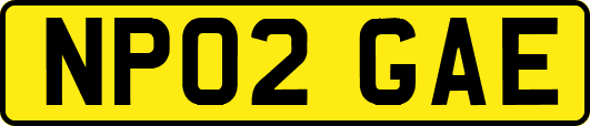 NP02GAE
