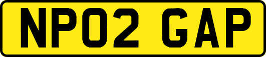NP02GAP