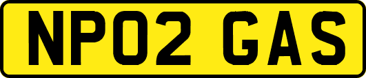 NP02GAS