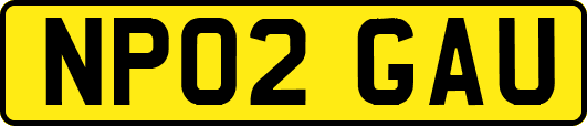 NP02GAU