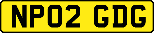 NP02GDG