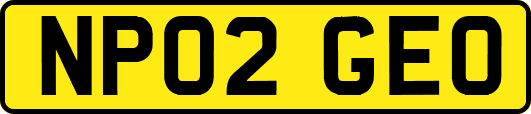 NP02GEO