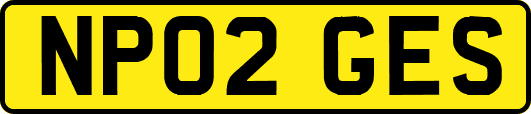 NP02GES