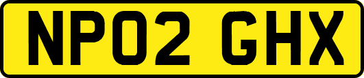 NP02GHX