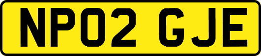 NP02GJE
