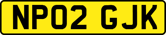 NP02GJK