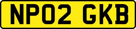 NP02GKB
