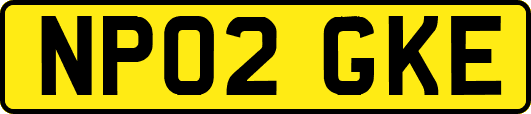 NP02GKE