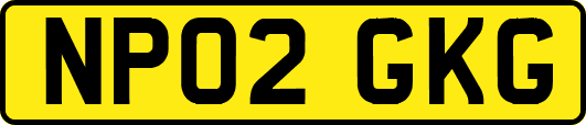 NP02GKG