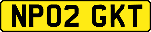 NP02GKT