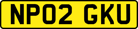NP02GKU