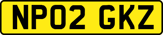 NP02GKZ