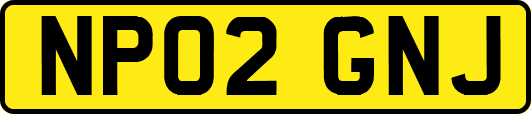 NP02GNJ