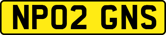 NP02GNS