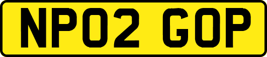 NP02GOP
